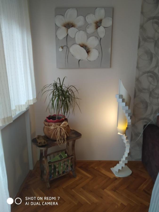 Apartman Ivan فردنيك المظهر الخارجي الصورة