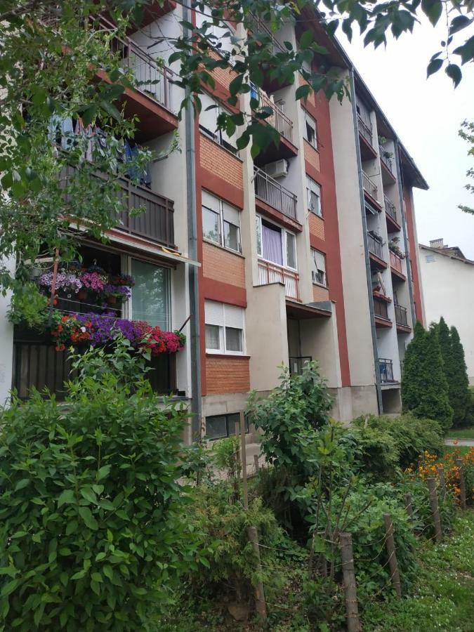 Apartman Ivan فردنيك المظهر الخارجي الصورة