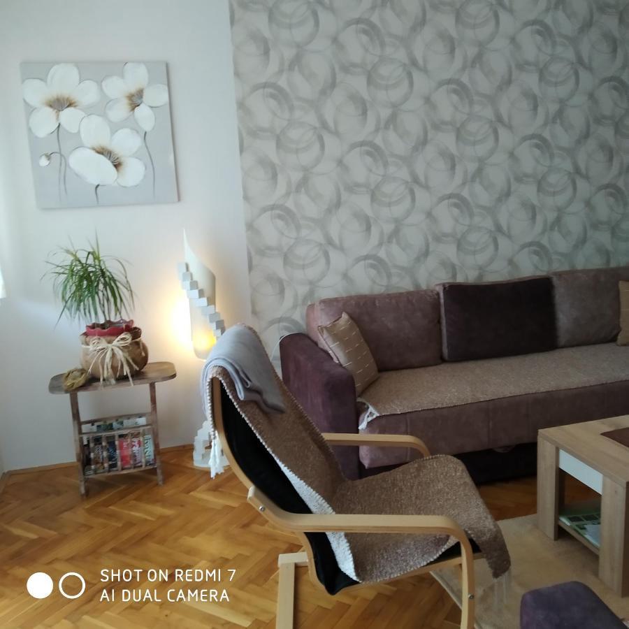 Apartman Ivan فردنيك المظهر الخارجي الصورة